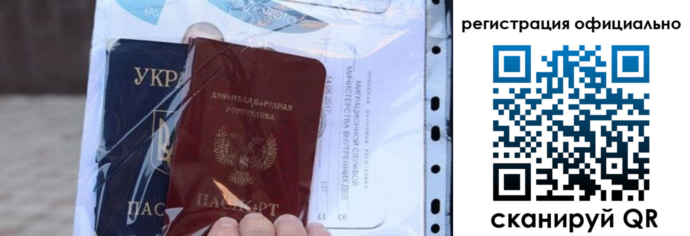прописка поиск в Палласовке